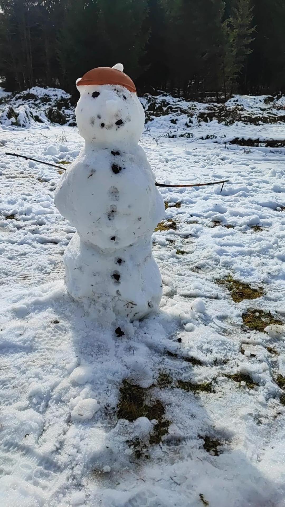 Cabana Rausor Cîmpulung Kültér fotó